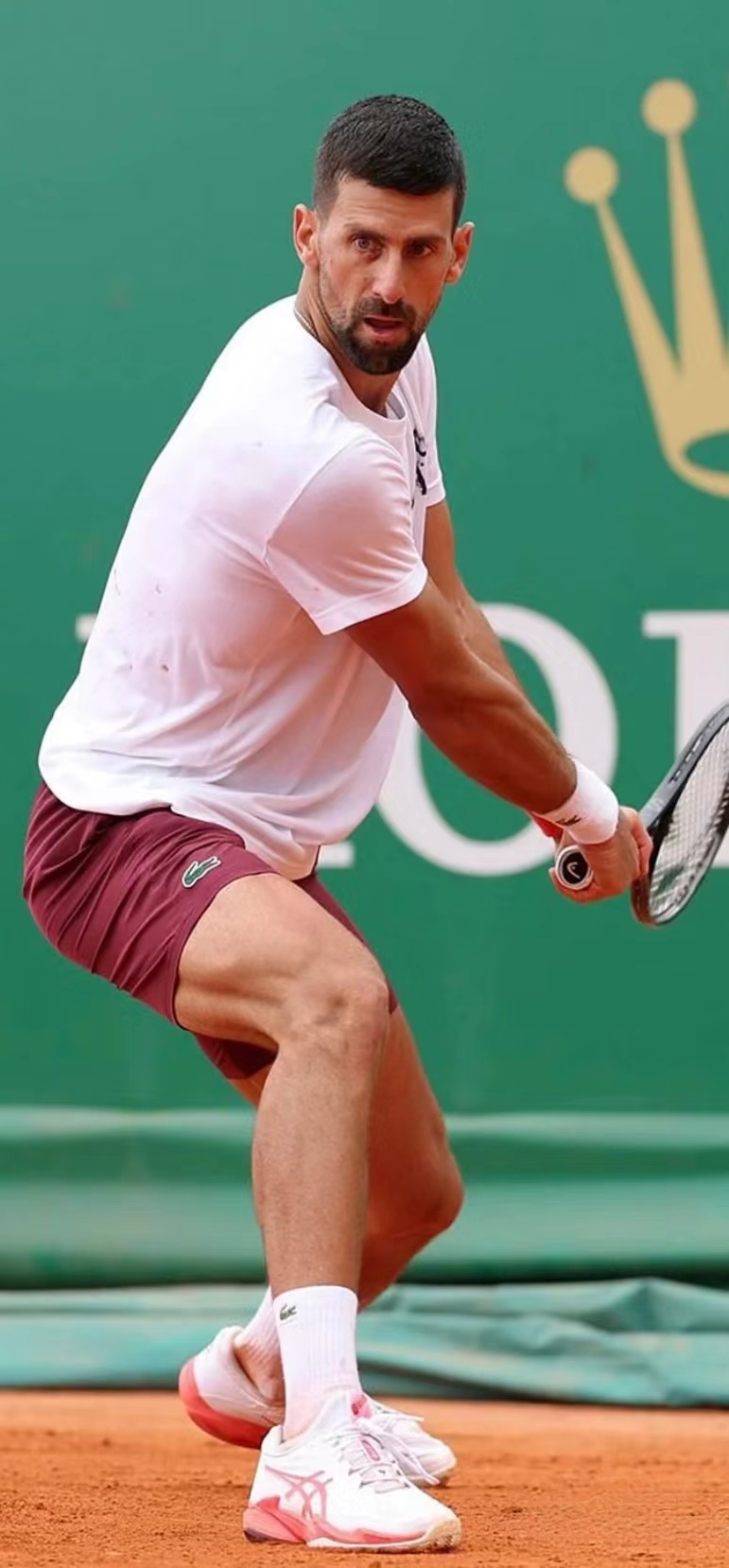 关于蒙特卡洛大师赛轻取温网，德约科维奇状态火热的信息