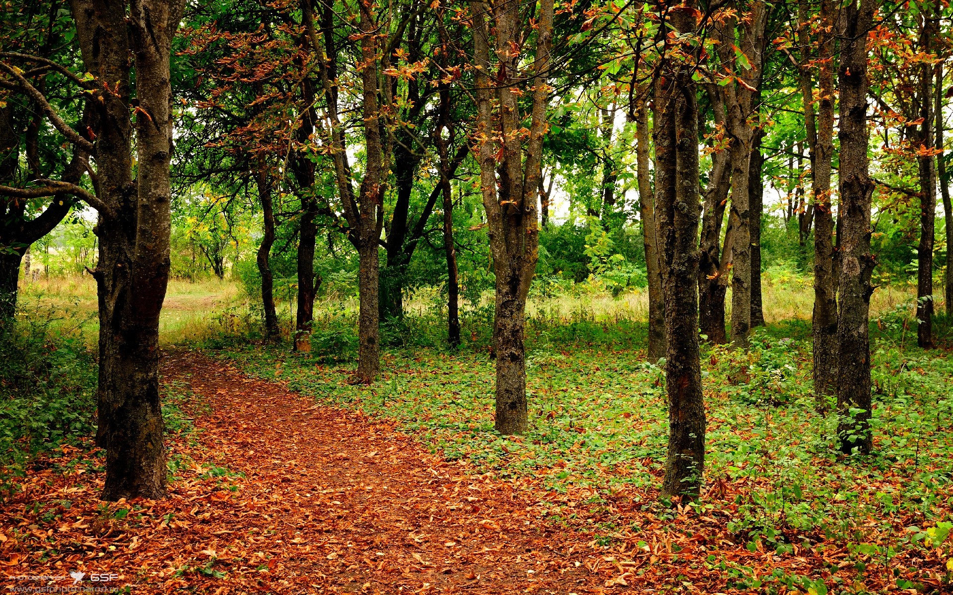 托尼导演中场魔术，英格兰撕裂铁血毕尔巴鄂迎关键突围